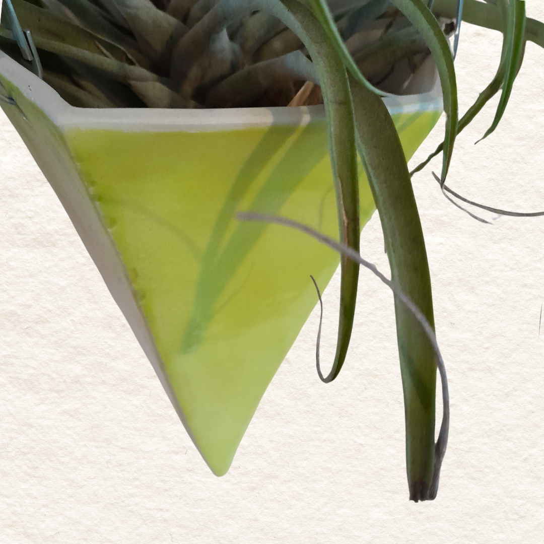 Geometric Hanging Planter (medium) in Chartreuse