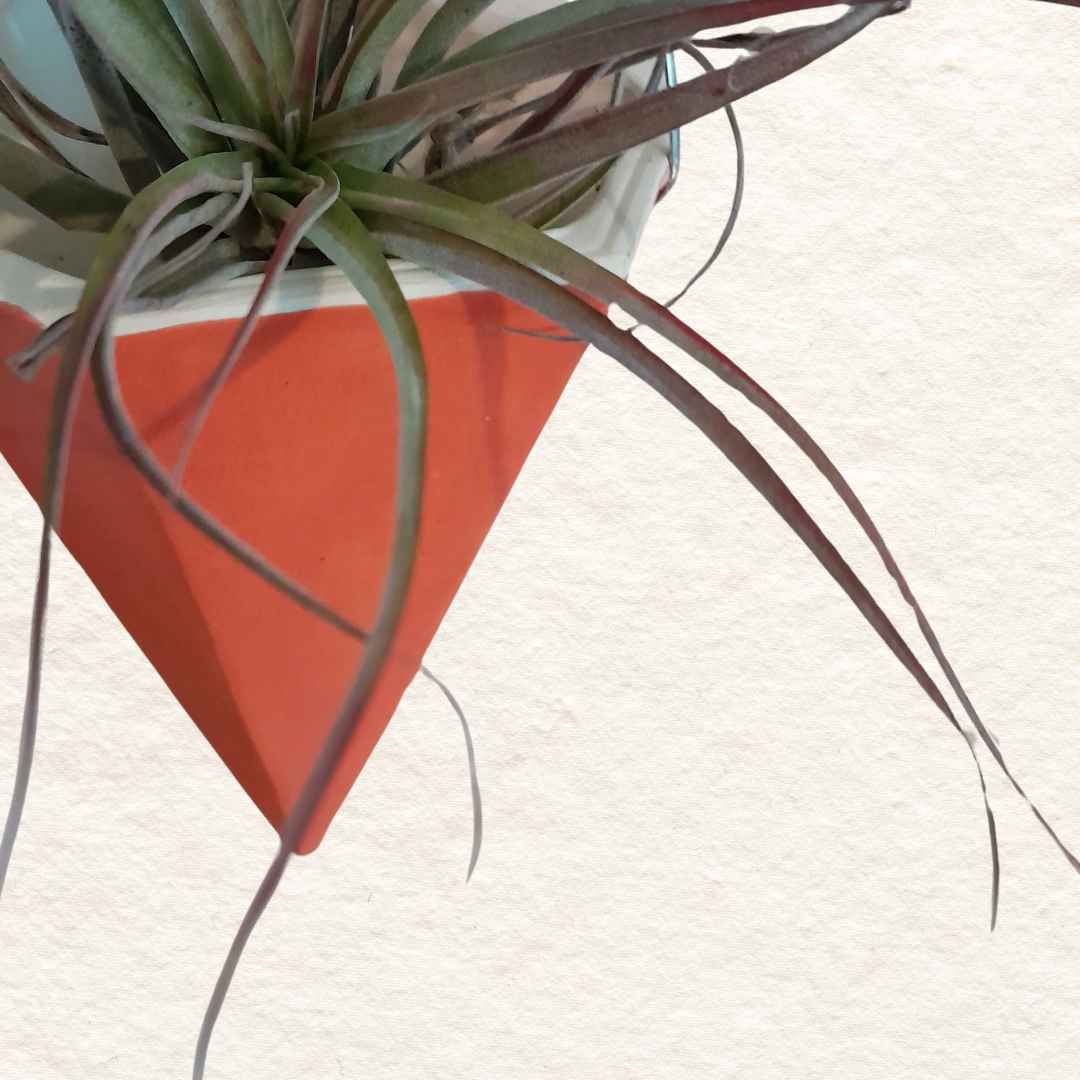 Geometric Hanging Planter (small) in Coral