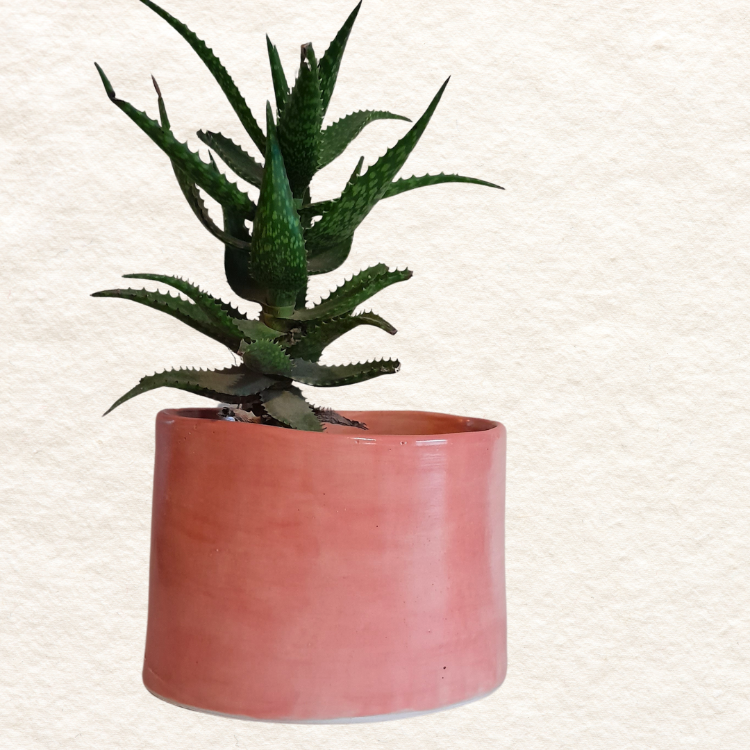 Oval Planter (Medium) in Flamingo