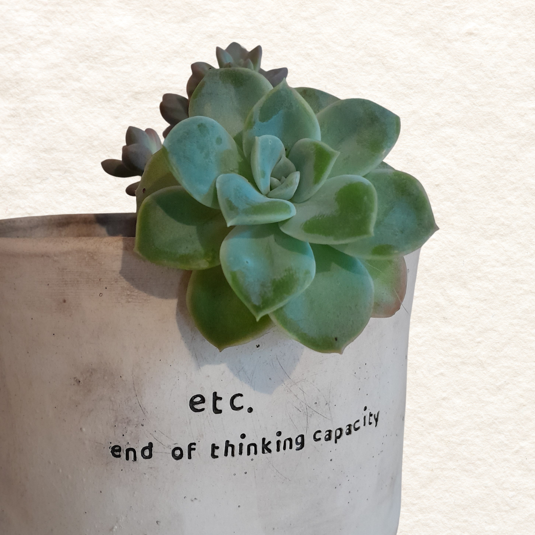 Oval Planter (Medium) - etc