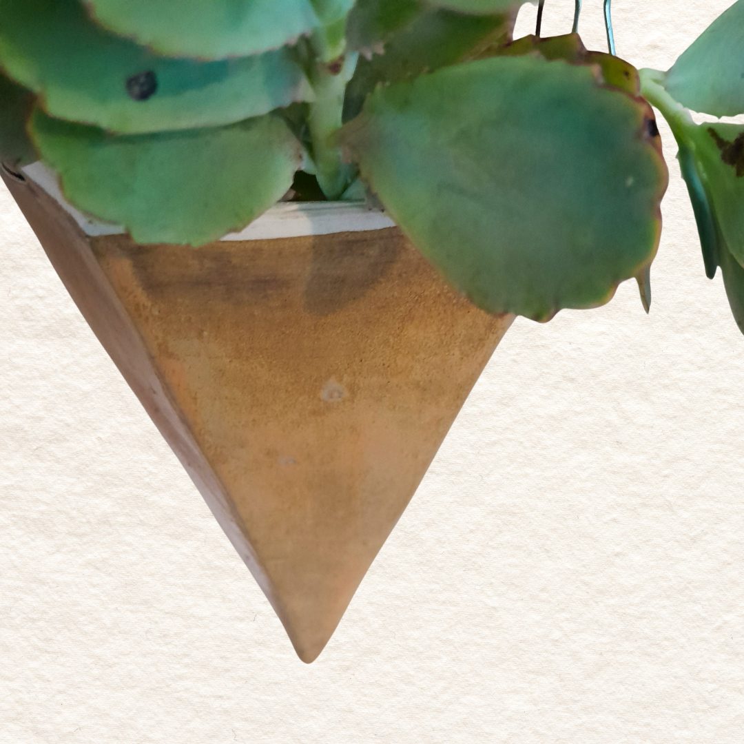 Geometric Hanging Planter (medium) in Desert