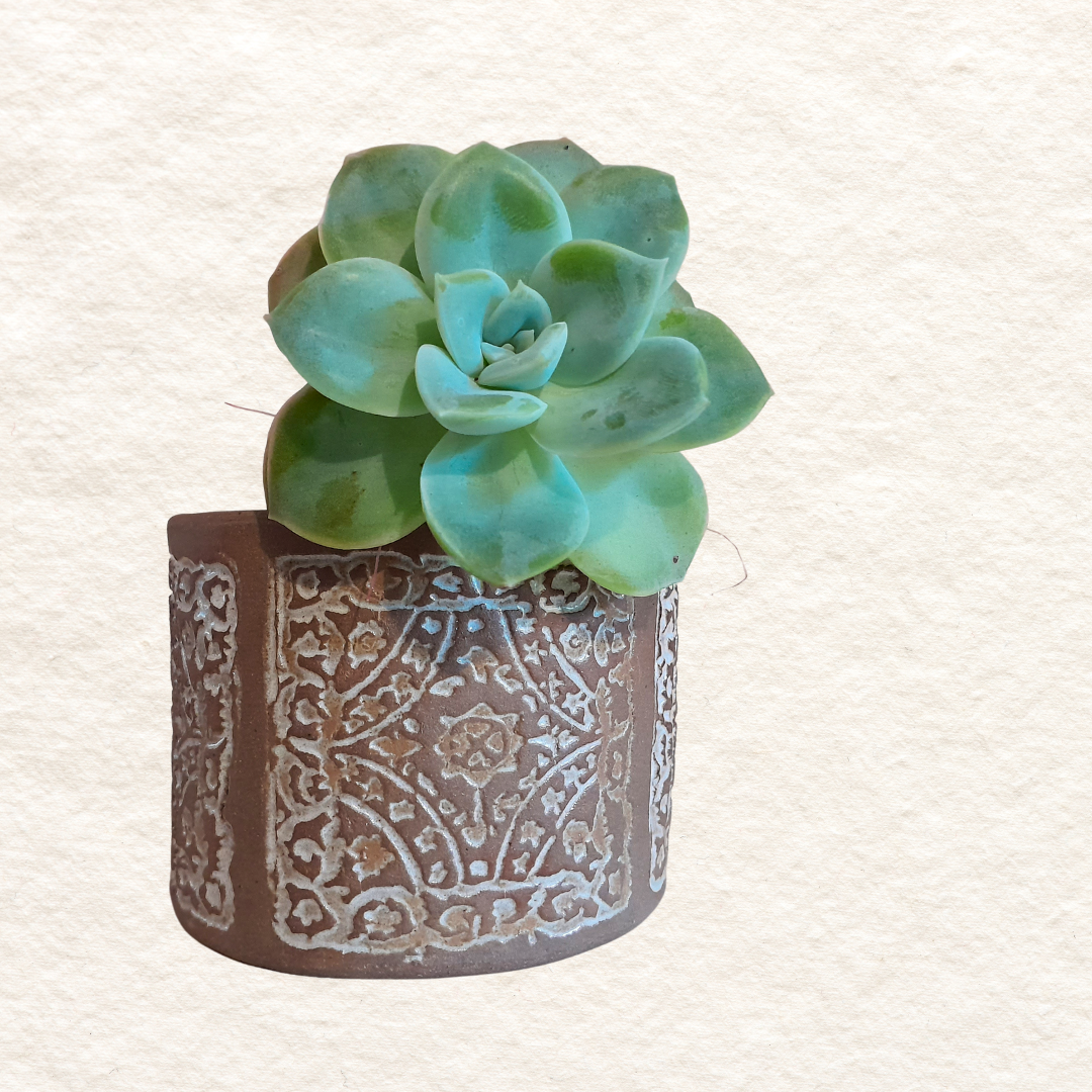 Small Terracotta Planter - Vintage Print