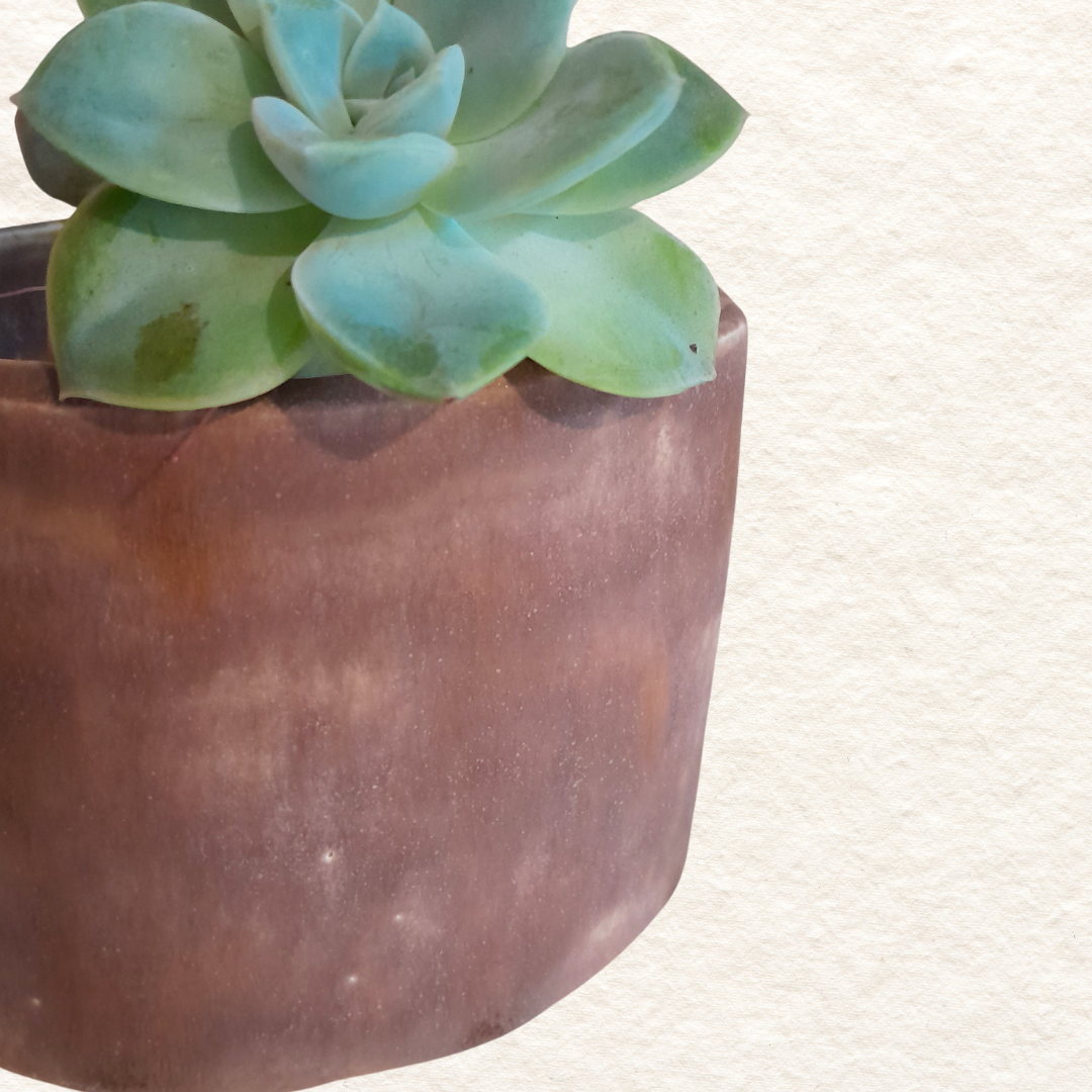 Oval Planter (Small) - in Treacle