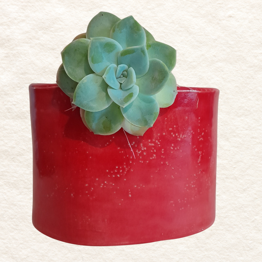 Oval Planter (Medium) in Hot Tamale