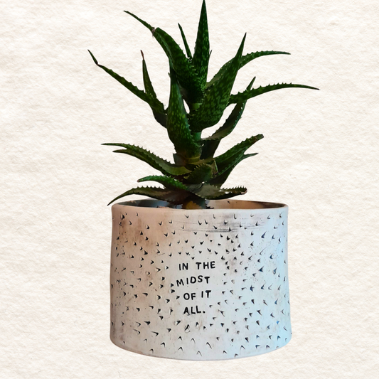 Oval Planter (Medium) - In the midst of it all