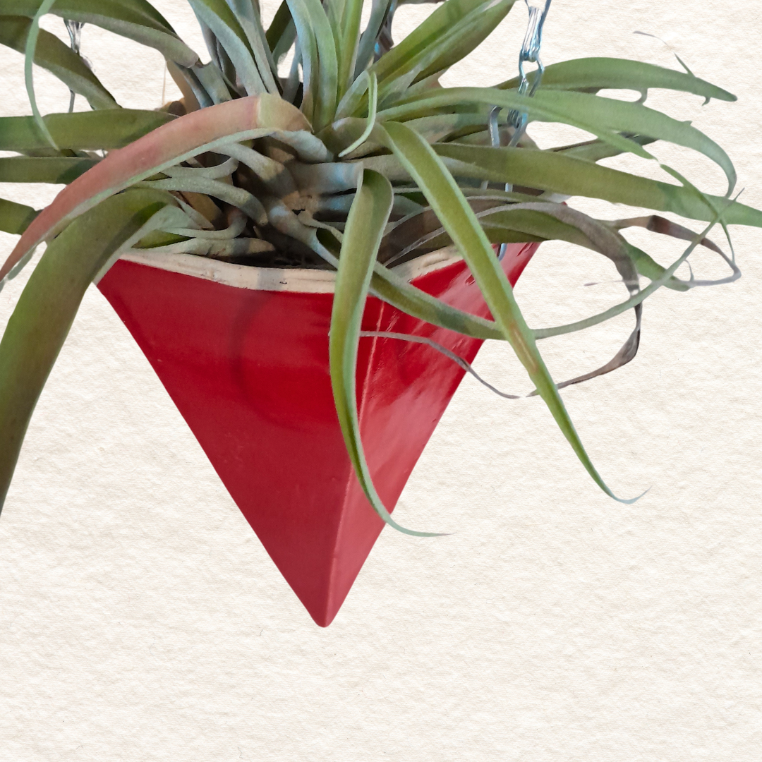 Geometric Hanging Planter (medium) in Hot Tamale