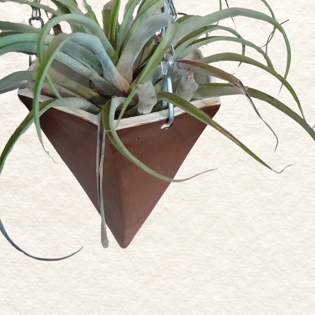 Geometric Hanging Planter (medium) in Umber