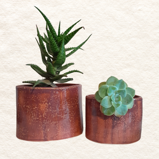 Oval Planter Set (1 medium and one small) -  in Plum